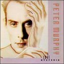 Peter Murphy - All Night Long